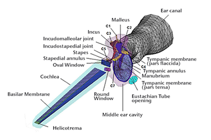 799355ec5e128419b7150dbb7f3af648.png