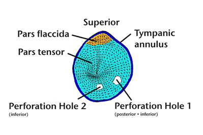 b54efdaf127953a7872ad0aaf28b46ec.png